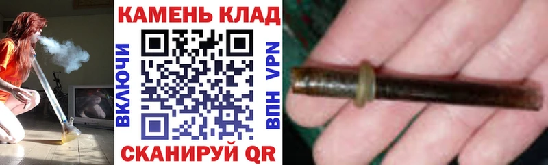 где найти наркотики  Малая Вишера  Гашиш Cannabis 