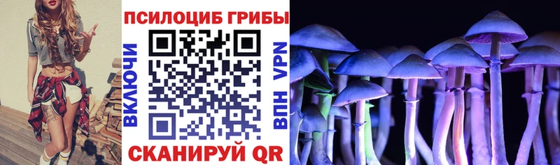 Псилоцибиновые грибы прущие грибы  Малая Вишера 